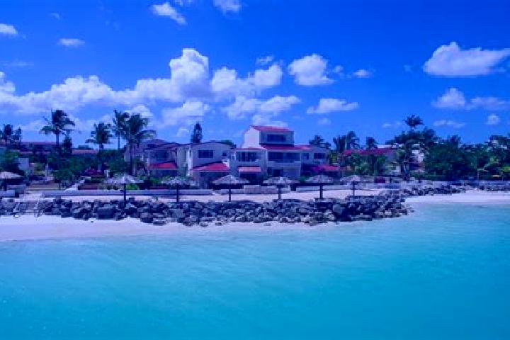 Quinn, 30 — Escort in Bendals, Antigua and Barbuda