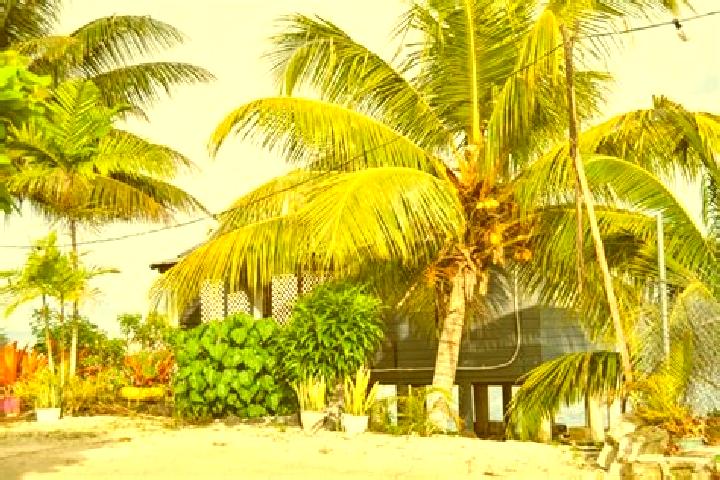 Quinn, 30 — Escort in Matautu, Samoa