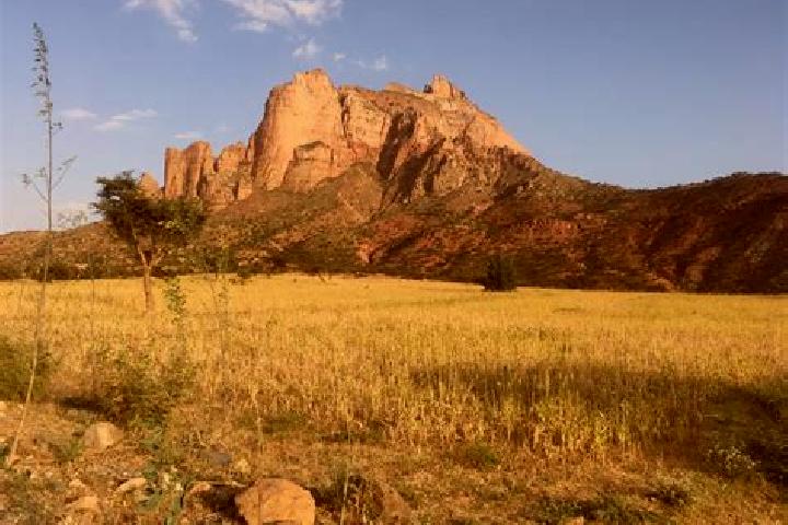 Quinn, 30 — Escort in Nek emte, Ethiopia