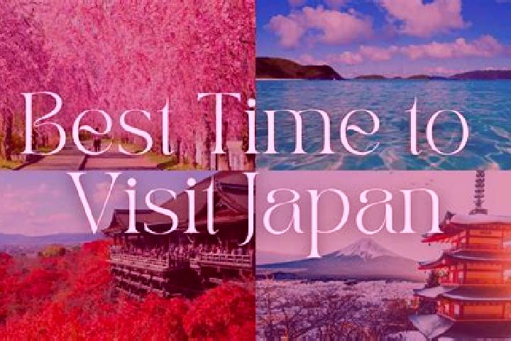 Quinn, 30 — Escort in Shimoyuge, Japan