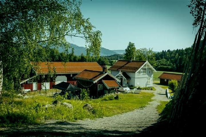 Quinn, 30 — Escort in Vestby, Norway
