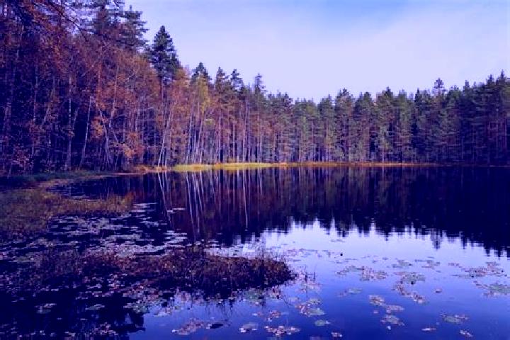 Quinn, 31 — Escort in Leivonmaeki, Finland