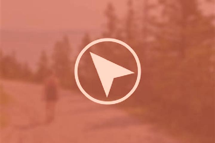 Quinn, 31 — Escort in Sainte-Martine, Canada