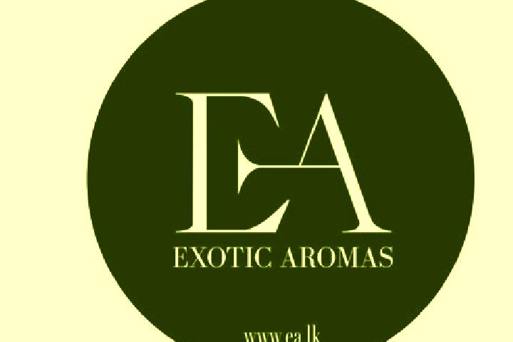 Quinn, 32 — Escort in Aromas, France
