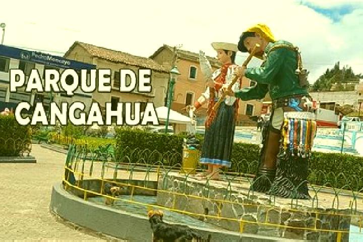 Quinn, 32 — Escort in Cangahua, Ecuador