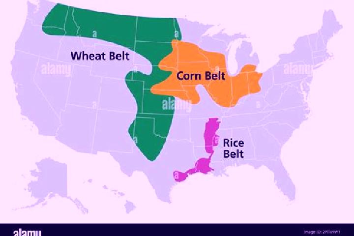 Quinn, 32 — Escort in Corn, United States