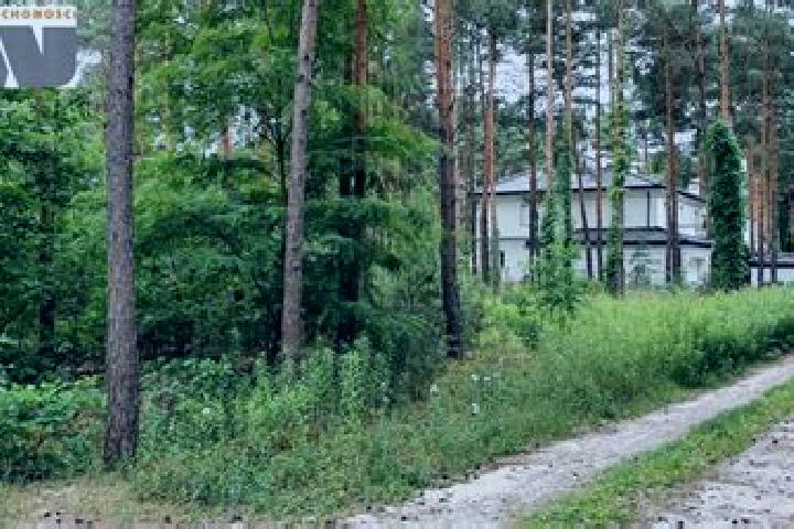 Quinn, 32 — Escort in Hornowek, Poland