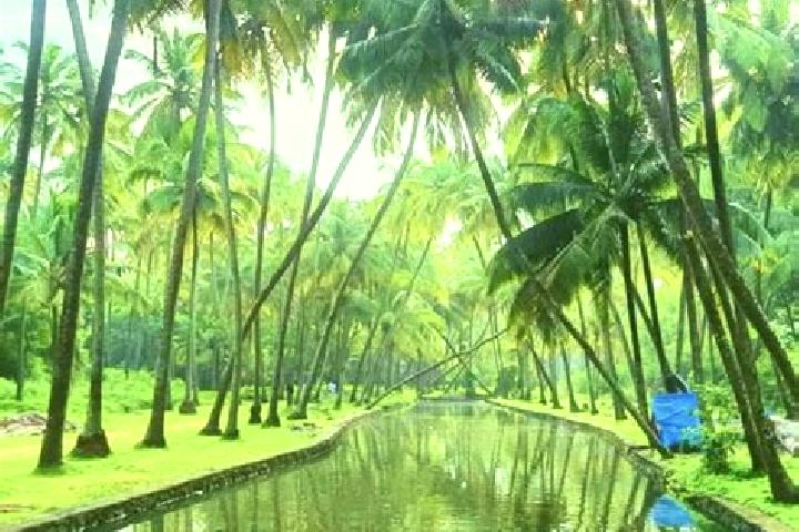 Quinn, 32 — Escort in Kunnamkulam, India