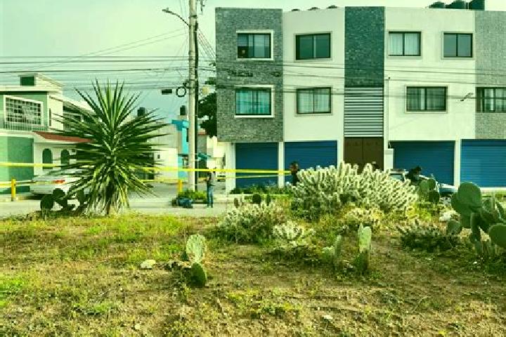 Quinn, 32 — Escort in Parque de Poblamiento Solidaridad, Mexico