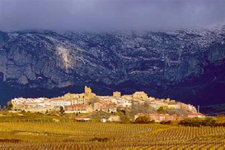 Quinn, 32 — Escort in Rioja, Spain