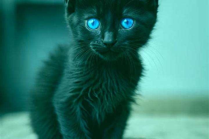 Quinn, 33, a black blue-eyed caribbean companion based in Rostrenen. Offering Fetish, Domination, 69. Available for incall and outcall, overnight bookings av...