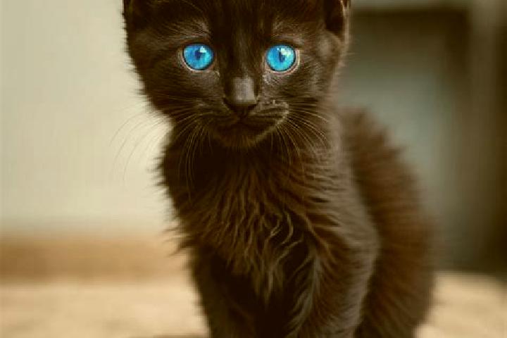 Quinn, 33, a black blue-eyed mediterranean companion based in Rejon alei Kromera. Offering Tantra, OWO, A-Level. Available for incall and outcall, overnight ...