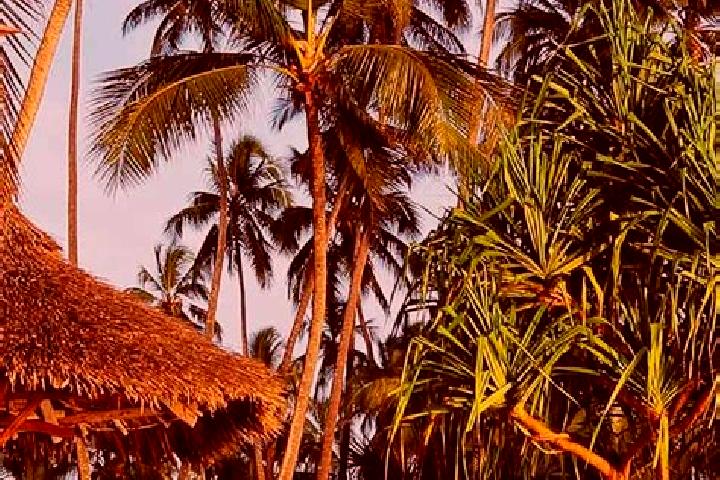 Quinn, 33 — Escort in Malampaka, Tanzania