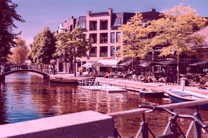 Quinn, 34 — Escort in Alphen, Netherlands