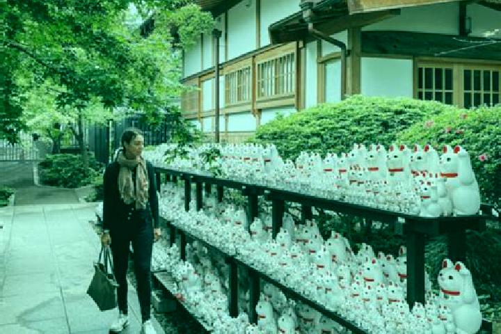 Quinn, 34 — Escort in Gotokuji, Japan
