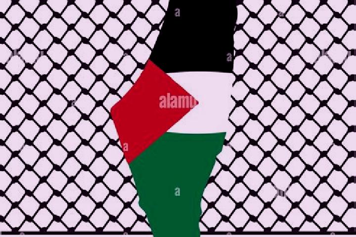 Quinn, 34 — Escort in Hablah, Palestine