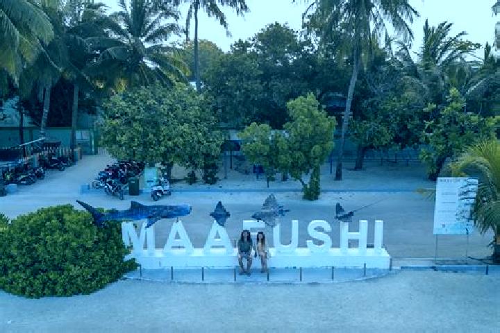 Quinn, 34 — Escort in Madifushi, Maldives