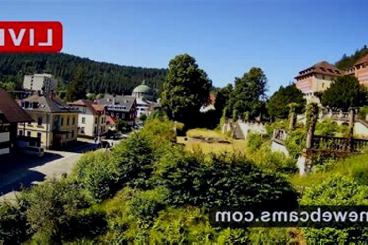 Quinn, 34 — Escort in Sankt Blasien, Germany