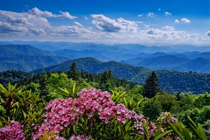 Quinn, 35 — Escort in Appalachia, United States