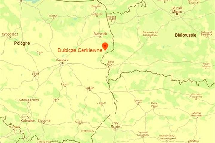 Quinn, 35 — Escort in Brzoza Krolewska, Poland