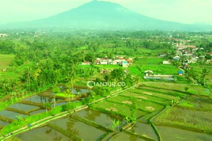 Quinn, 35 — Escort in Manis Karangtengah, Indonesia