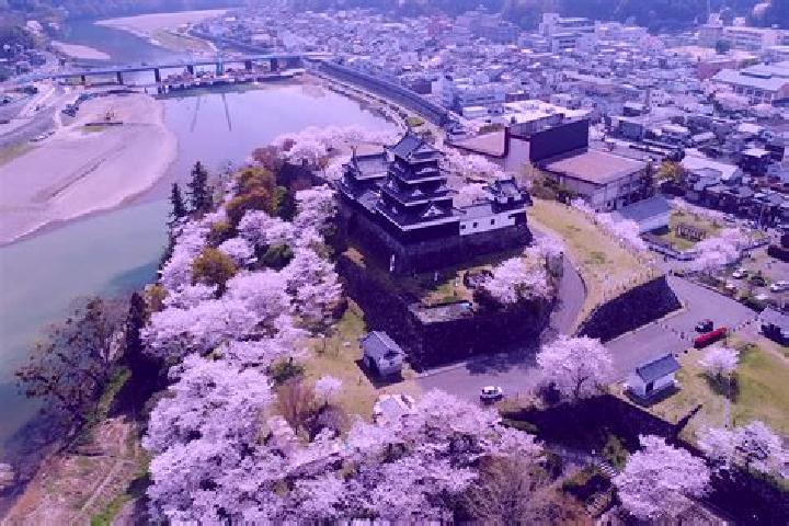 Quinn, 35 — Escort in Ozu, Japan
