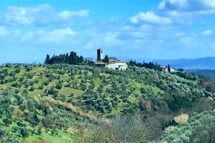 Quinn, 35 — Escort in San Casciano in Val di Pesa, Italy