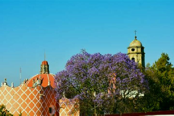 Quinn, 35 — Escort in Tlahuac, Mexico