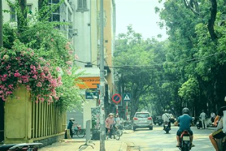 Quinn, 35 — Escort in Van Tung, Vietnam