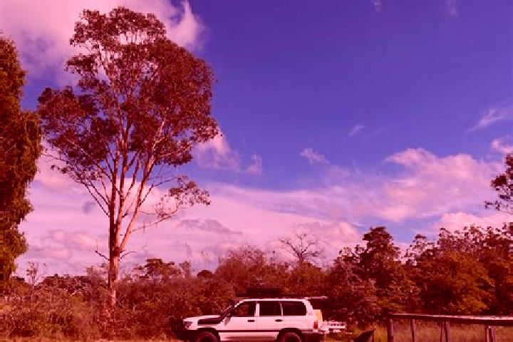 Quinn, 35 — Escort in Wedderburn, Australia