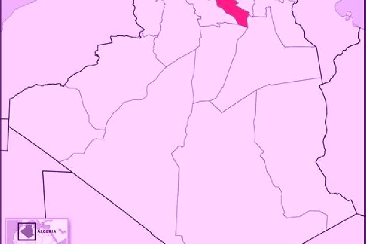 Quinn, 36 — Escort in El Bayadh, Algeria