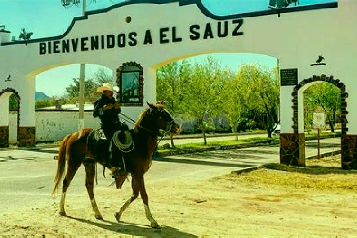 Quinn, 36 — Escort in El Sauz de Cebolletas, Mexico