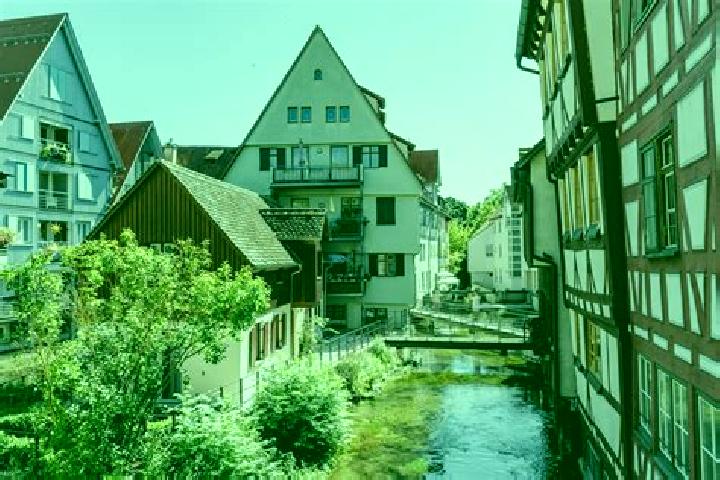 Quinn, 36 — Escort in Erlabrunn, Germany