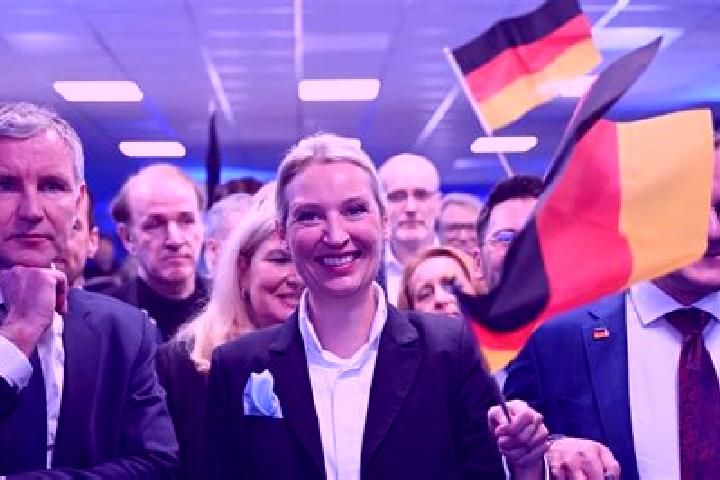 Quinn, 36 — Escort in Kasel-Golzig, Germany