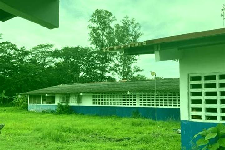 Quinn, 36 — Escort in Las Guabas, Panama