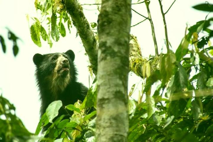 Quinn, 36 — Escort in Los Cedros Suchitepec, Mexico