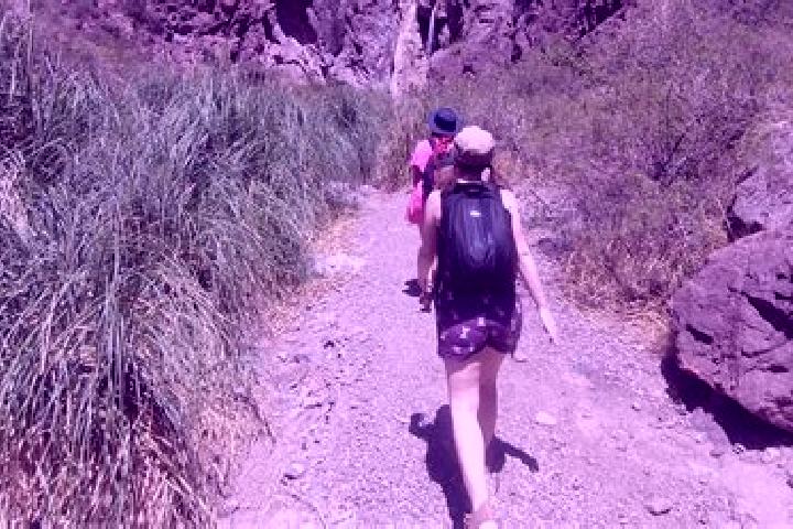 Quinn, 36 — Escort in Potrerillos, Mexico