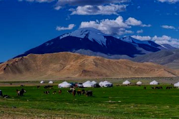 Quinn, 36 — Escort in Tahilt, Mongolia