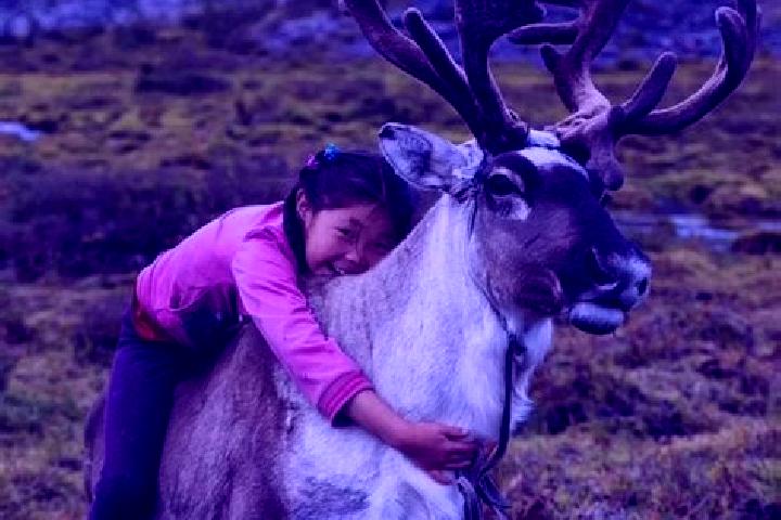 Quinn, 36 — Escort in Tooromt, Mongolia
