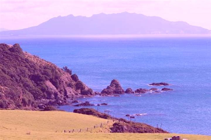 Quinn, 36 — Escort in Warkworth, New Zealand