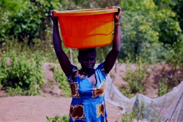 Quinn, 37 — Escort in Kouango, Central African Republic