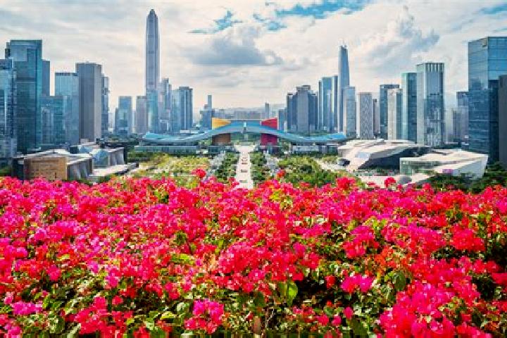 Quinn, 37 — Escort in Lianhuashan, China
