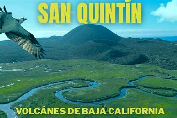 Quinn, 37 — Escort in San Quintin, Philippines