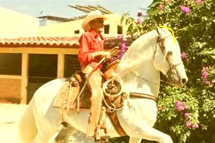 Quinn, 38 — Escort in Azoyu, Mexico