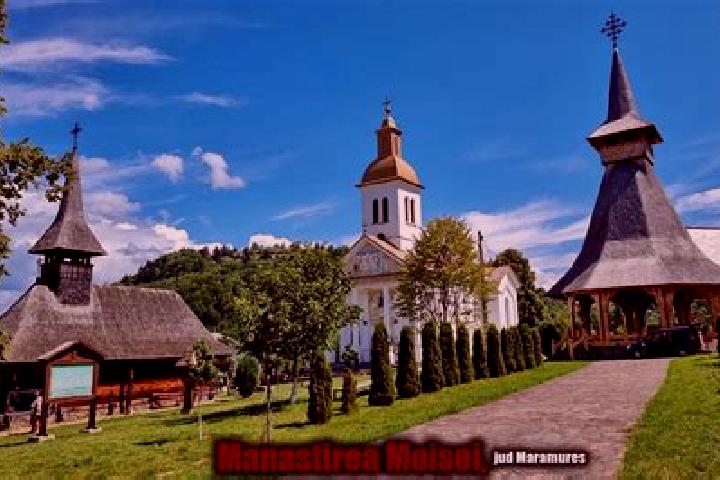 Quinn, 38 — Escort in Bocsa, Romania
