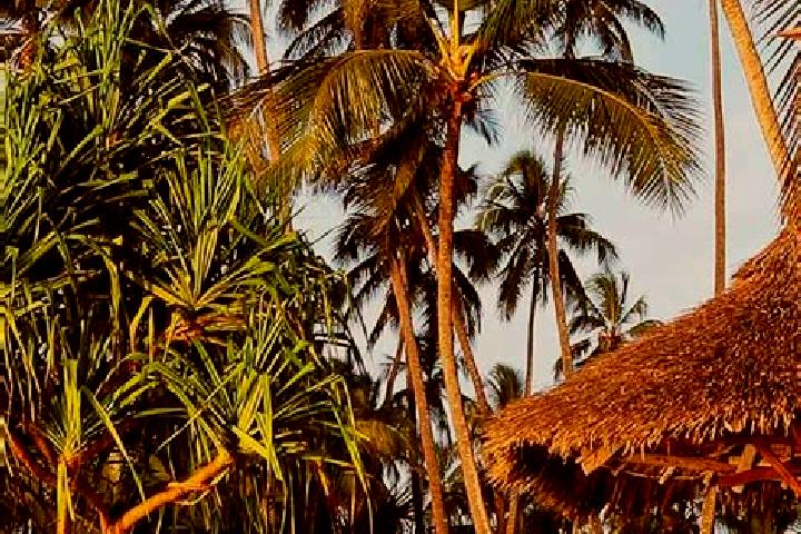 Quinn, 38 — Escort in Chala, Tanzania