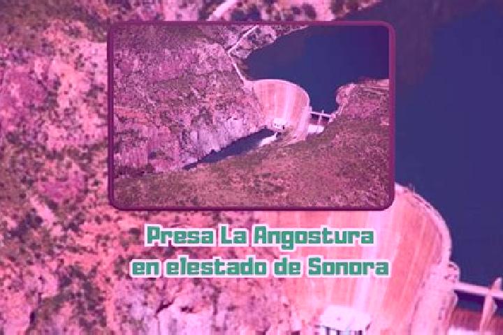 Quinn, 38 — Escort in La Angostura, Mexico