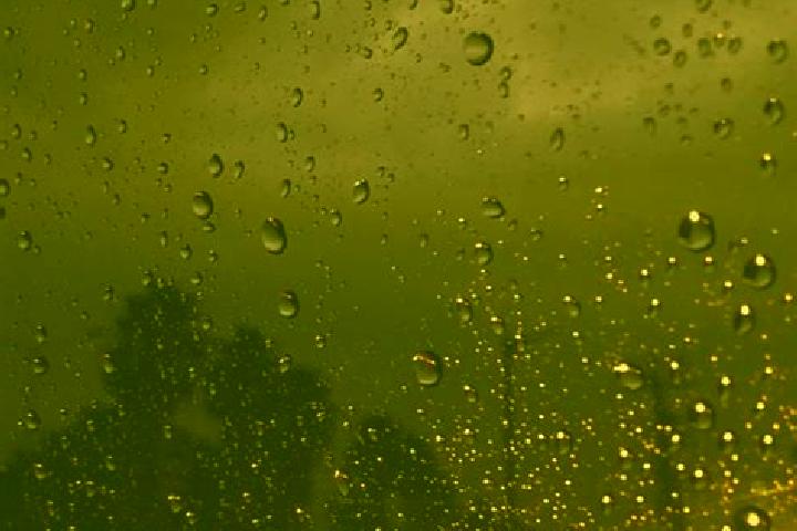 Quinn, 38 — Escort in Rain, Germany
