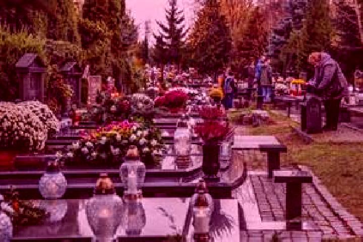 Quinn, 38 — Escort in Rumia, Poland