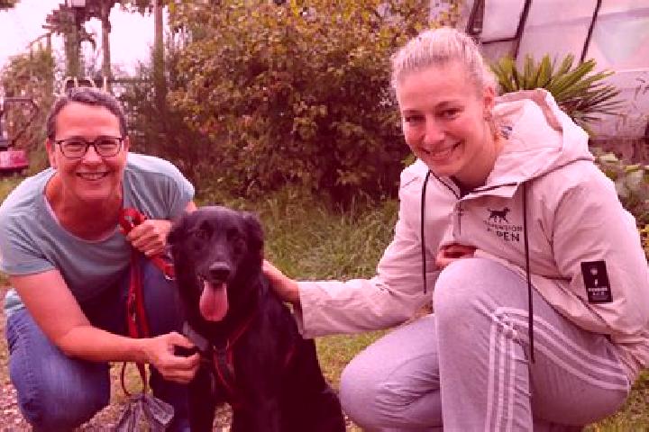 Quinn, 38 — Escort in Testorf-Steinfort, Germany
